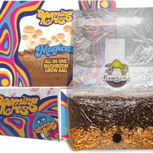 5lb All-in-One Mushroom Develop Bag | Full Mushroom Rising Package | Domesticate Your Personal Pleasure | Expertise the Marvel of Mushroom Cultivation – 5lb Starter Package