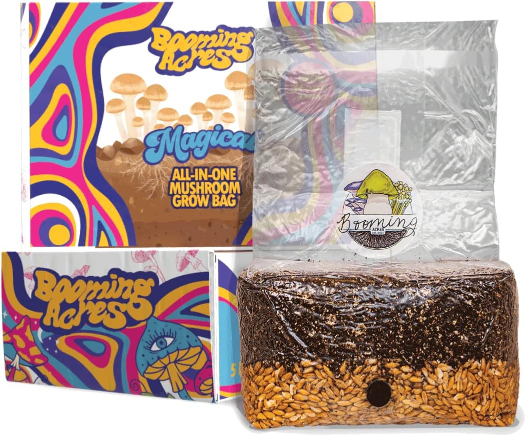 5lb All-in-One Mushroom Develop Bag | Full Mushroom Rising Package | Domesticate Your Personal Pleasure | Expertise the Marvel of Mushroom Cultivation – 5lb Starter Package