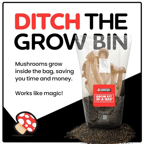 Mushroom Rising Package in a Bag - All-in-One, Straightforward to Use, 5 LB Mushroom Develop Bag with Sterilized Grain and Substrate, Spores Not Included, Mycologist Permitted