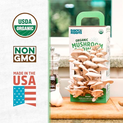 Natural Oyster Mushroom Develop Package by Again to the Roots: Harvest Connoisseur Mushrooms in Simply 10 Days