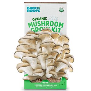 Natural Oyster Mushroom Develop Package by Again to the Roots: Harvest Connoisseur Mushrooms in Simply 10 Days