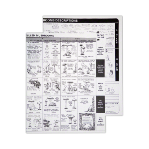 Easy Mushroom Identification Guides