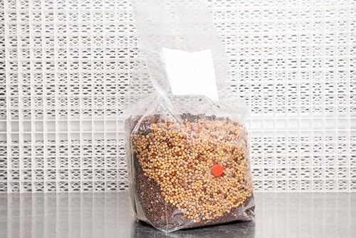 Twice-As-Good All-in-One Coir Mushroom Develop Bag | Double the Spawn for Ample Yields | Produce Over 2 lbs Contemporary, 3.25 oz Dry | Out there in 1.5, 2.5, and 5 lb Sizes | Contains...