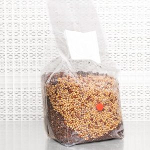 Twice-As-Good All-in-One Coir Mushroom Develop Bag | Double the Spawn for Ample Yields | Produce Over 2 lbs Contemporary, 3.25 oz Dry | Out there in 1.5, 2.5, and 5 lb Sizes | Contains…