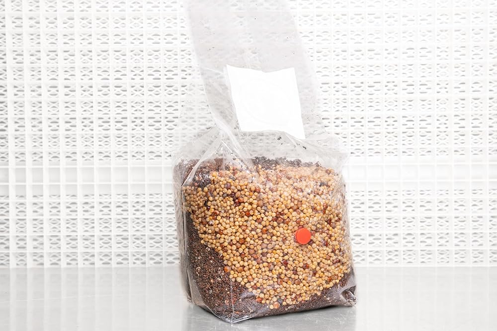 Twice-As-Good All-in-One Coir Mushroom Develop Bag | Double the Spawn for Ample Yields | Produce Over 2 lbs Contemporary, 3.25 oz Dry | Out there in 1.5, 2.5, and 5 lb Sizes | Contains…